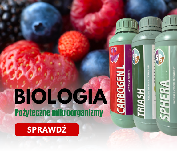 baner mobile nowa strona główna (5)