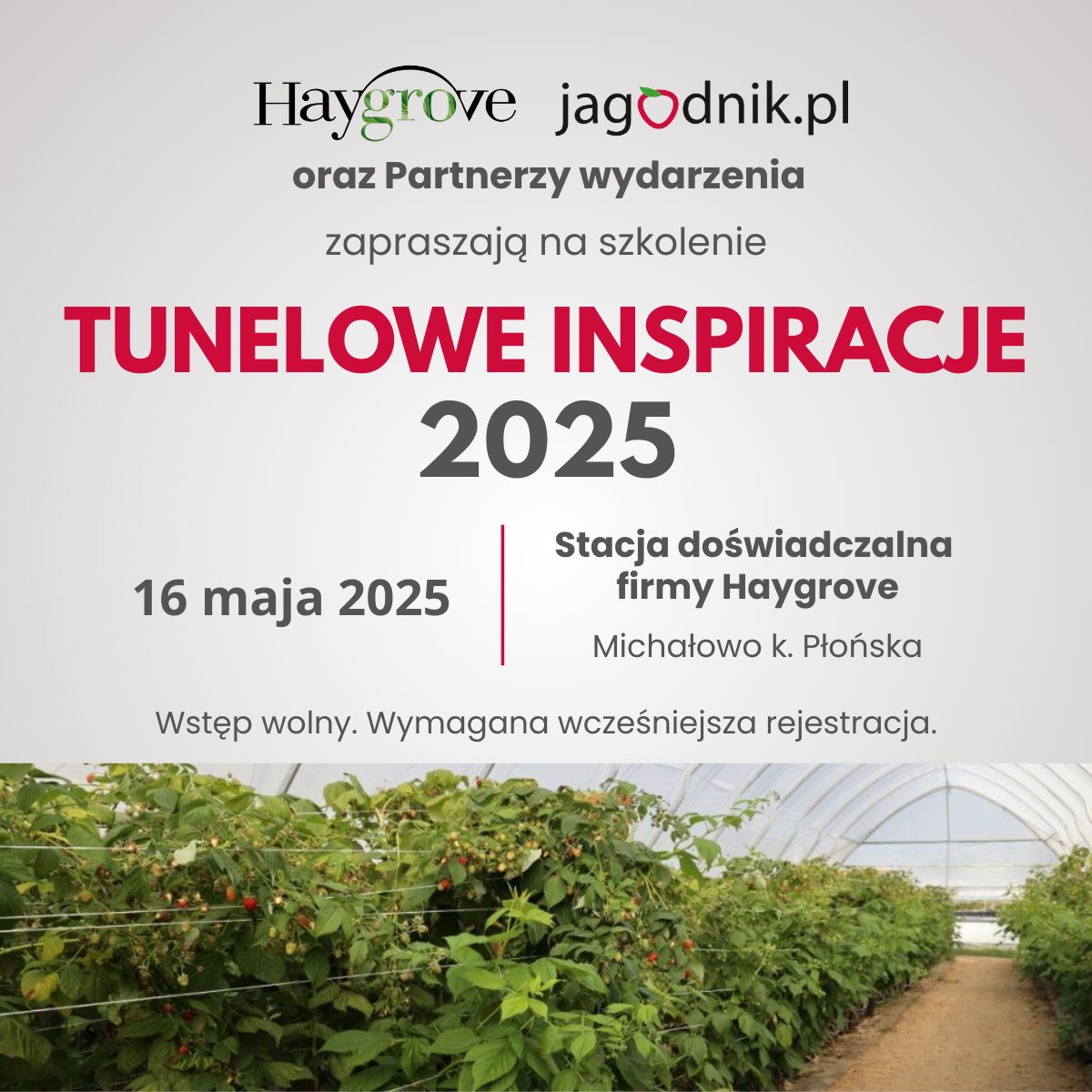 Tunelowe Inspiracje 2025